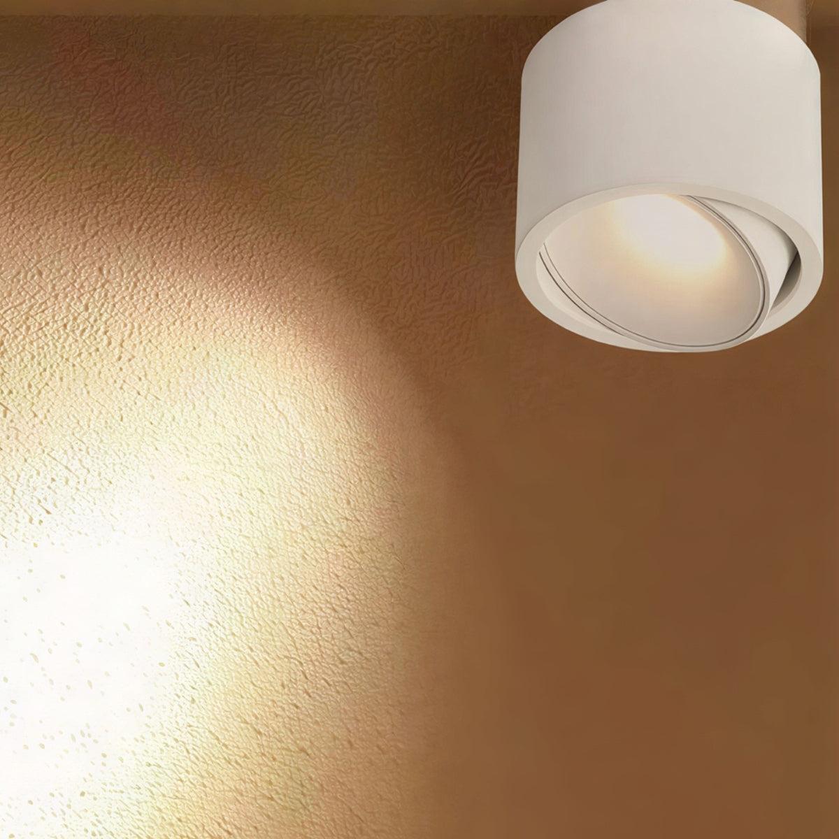 Cylindrical Adjustable Flush Mount Ceiling Light Fixture With Spotlight