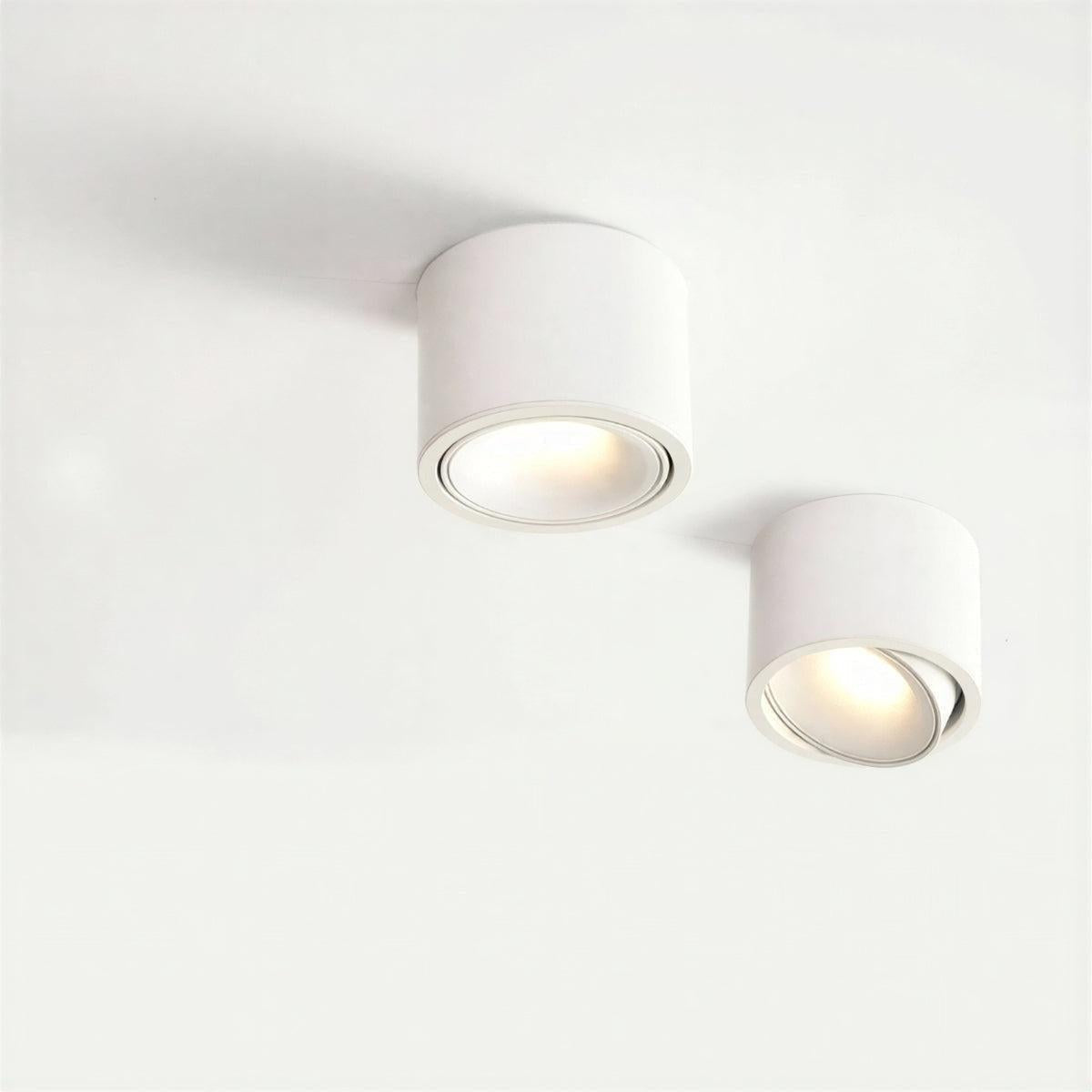 Cylindrical Adjustable Flush Mount Ceiling Light Fixture With Spotlight