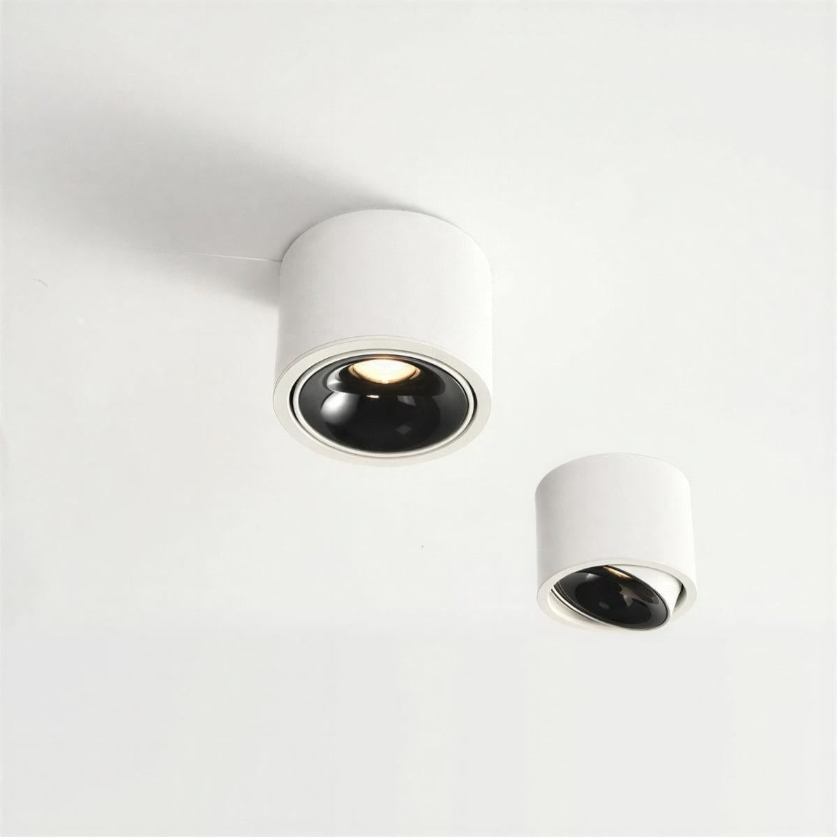 Cylindrical Adjustable Flush Mount Ceiling Light Fixture With Spotlight