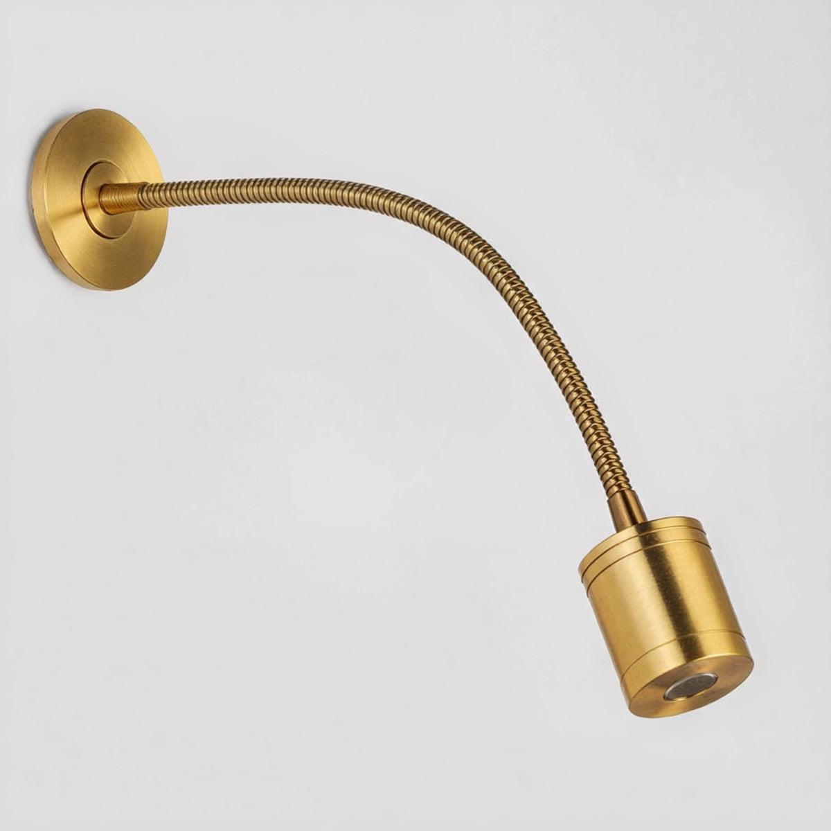 Flexible Gooseneck Wall Mounted Reading Light