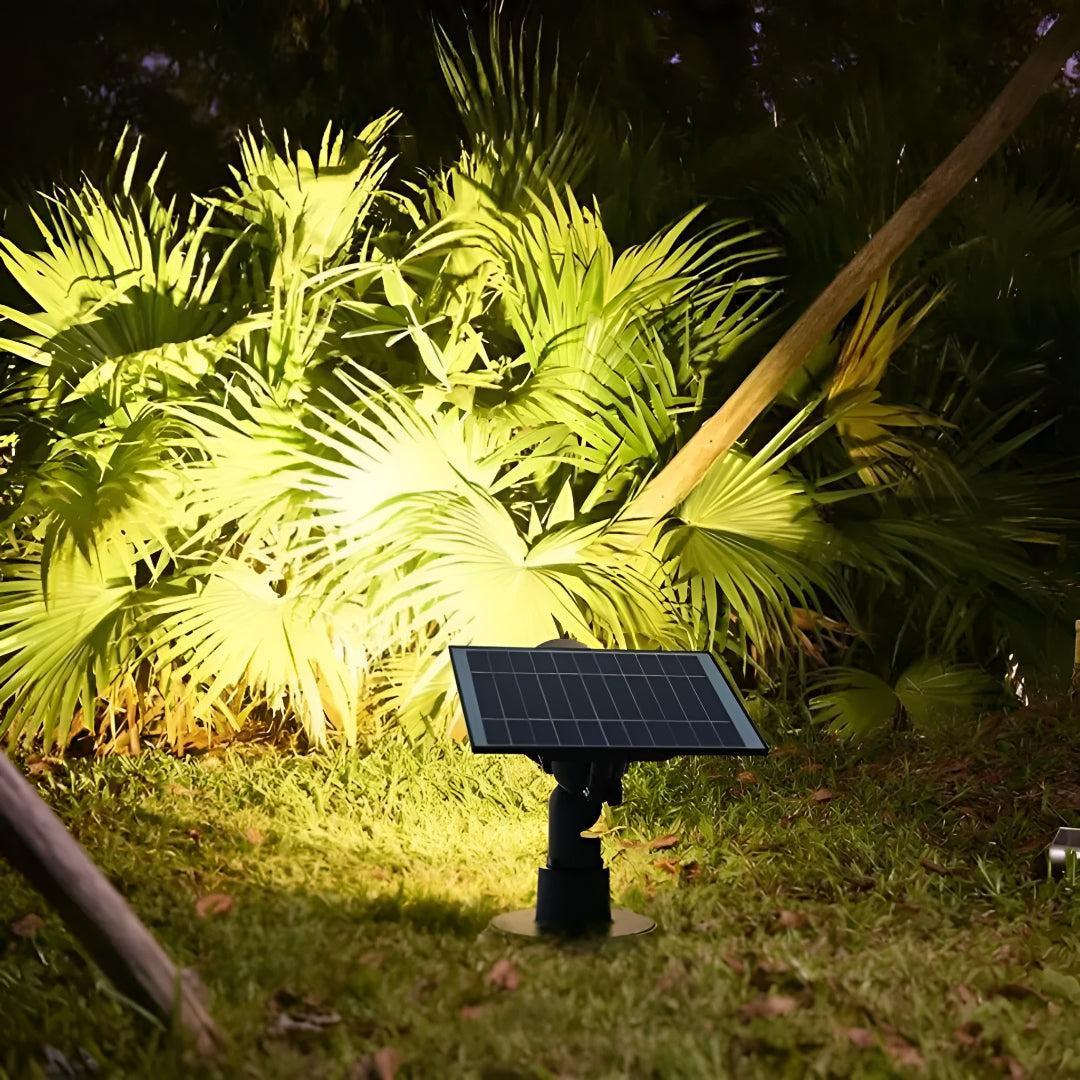 Outdoor Exterior Solar Powered Pathway Landscape Light With Stake To Put In Ground And Adjustable Illumination
