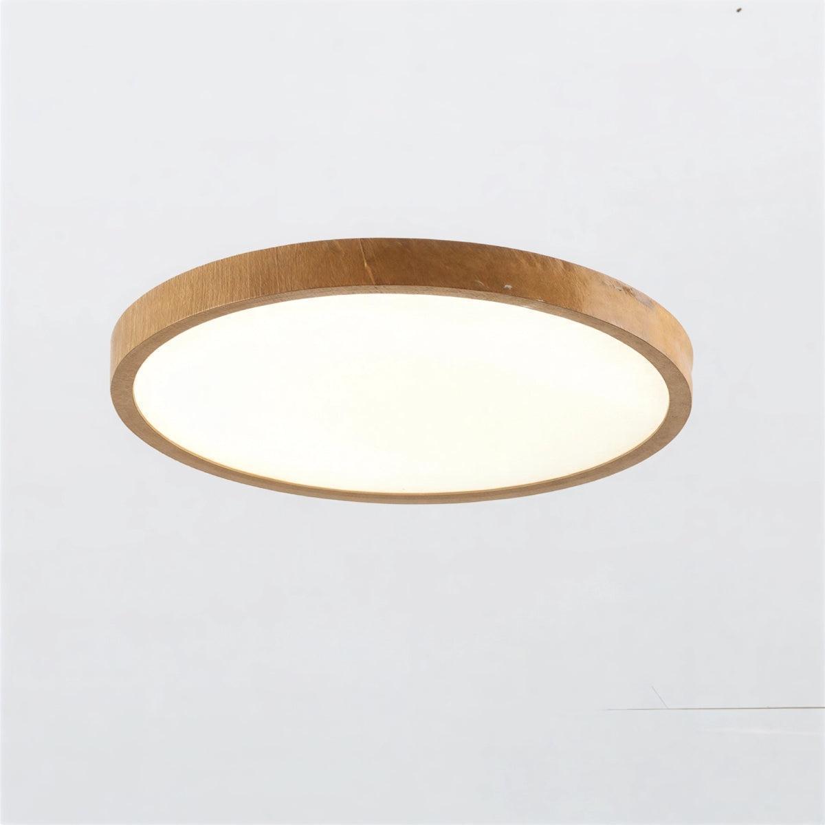 Ultra Thin Circular Flush Mount Ceiling Light Fixture With Adjustable Lighting Modes