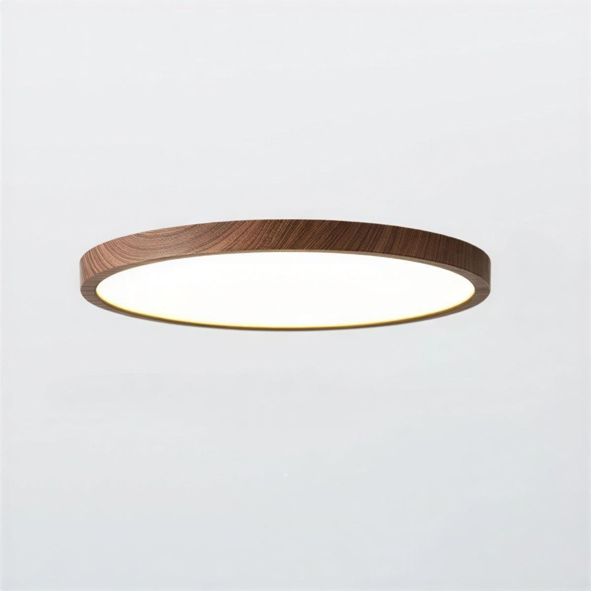 Ultra Thin Circular Flush Mount Ceiling Light Fixture With Adjustable Lighting Modes