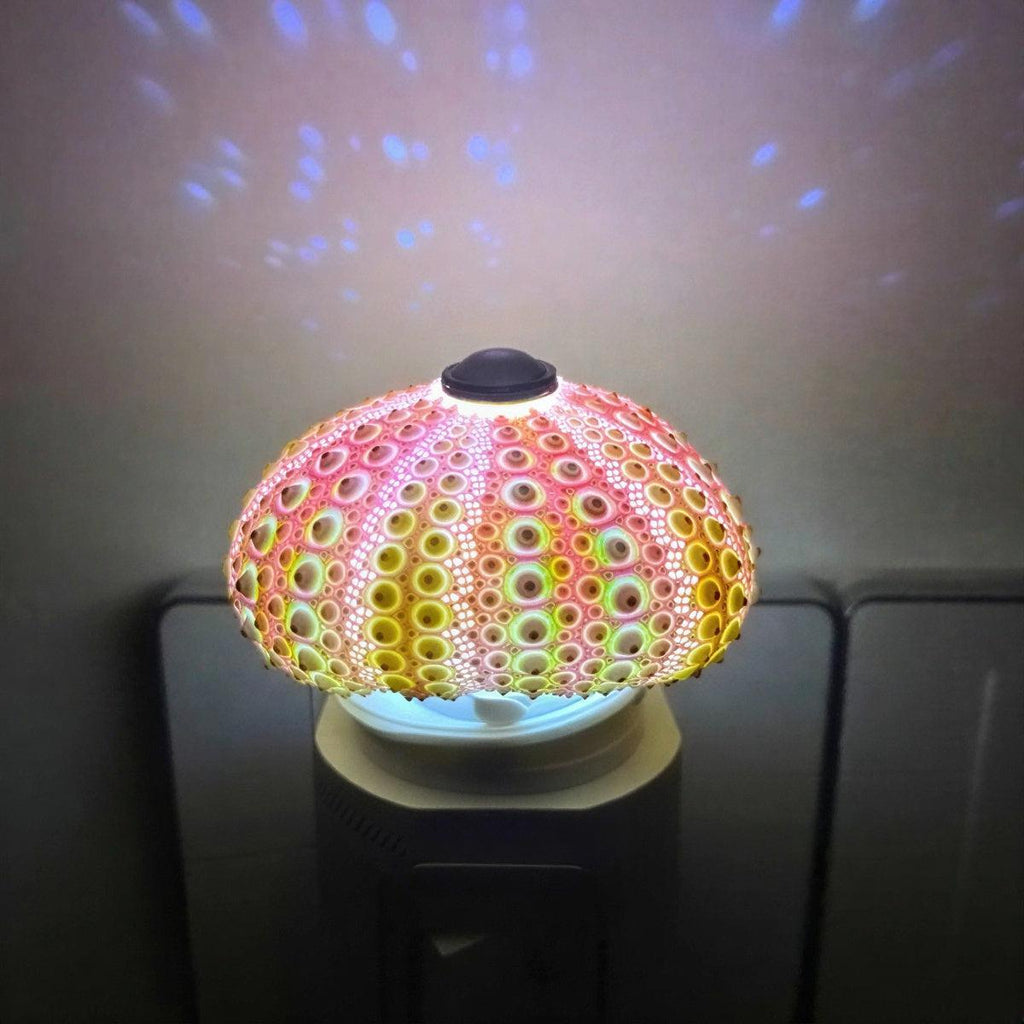 Aesthetic Sea Urchin Table Lamp Night Light