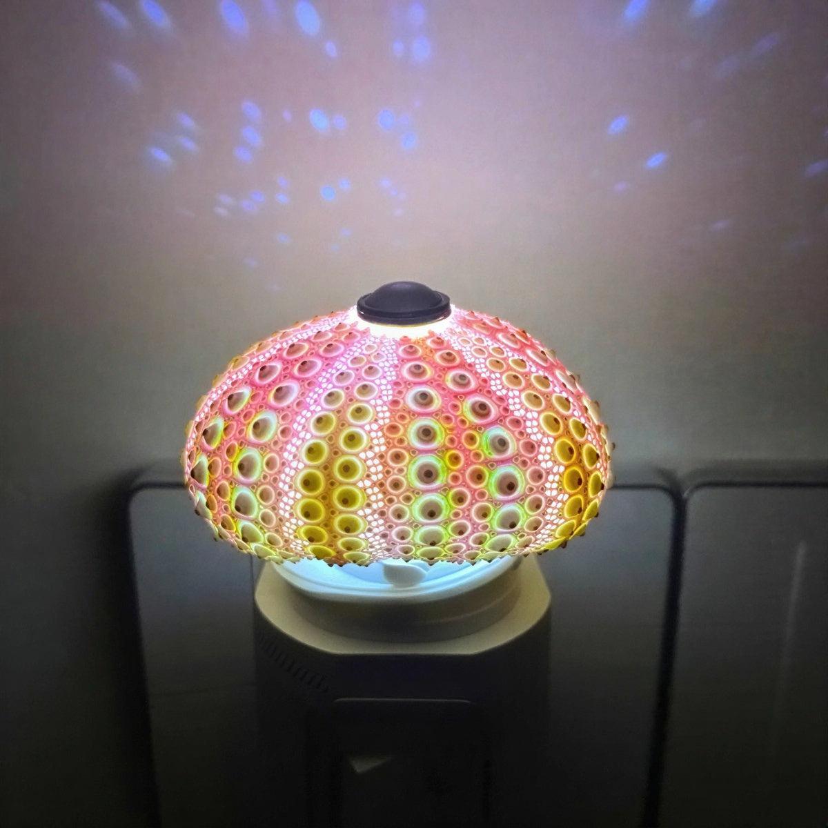 Aesthetic Sea Urchin Table Lamp Night Light
