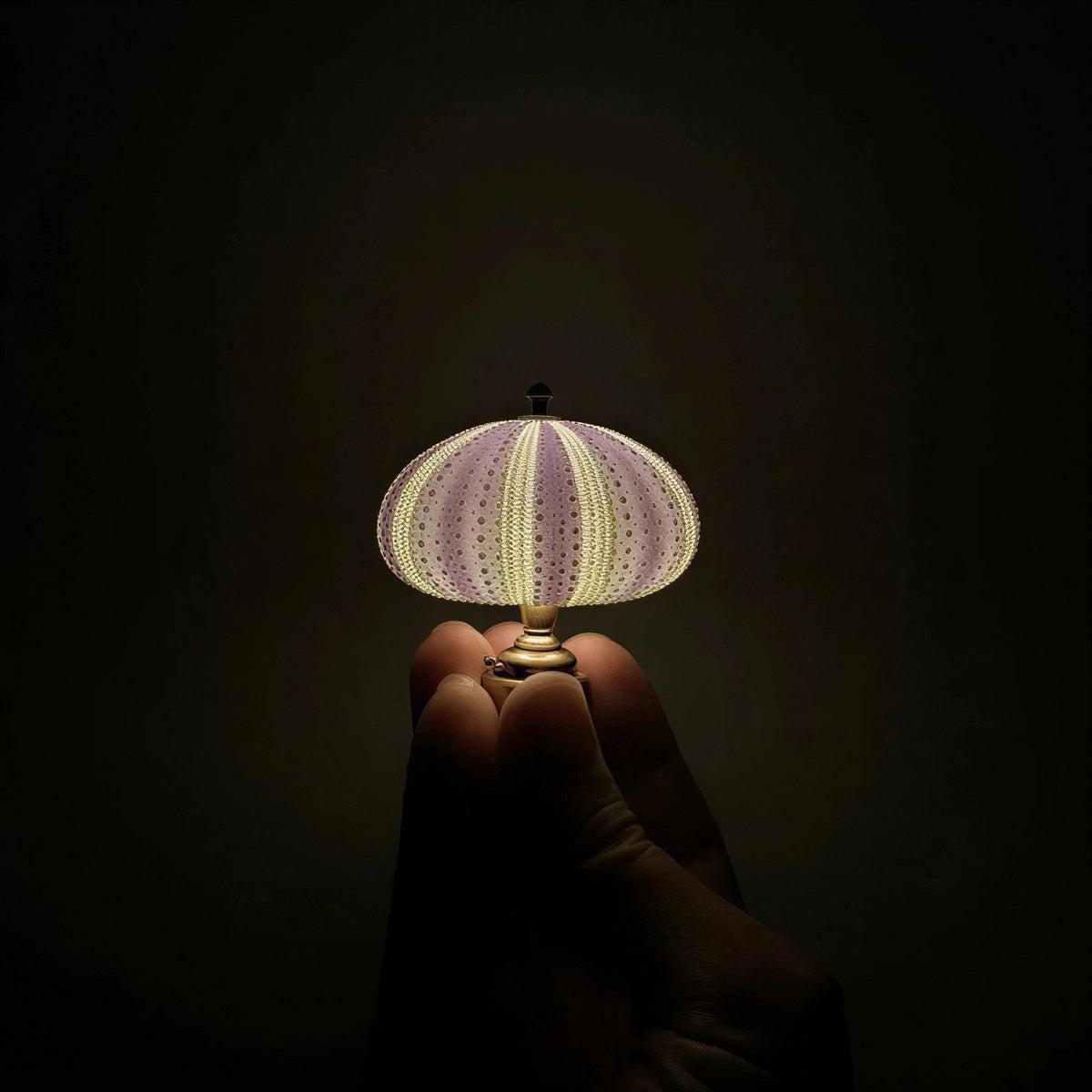 Aesthetic Sea Urchin Table Lamp Night Light