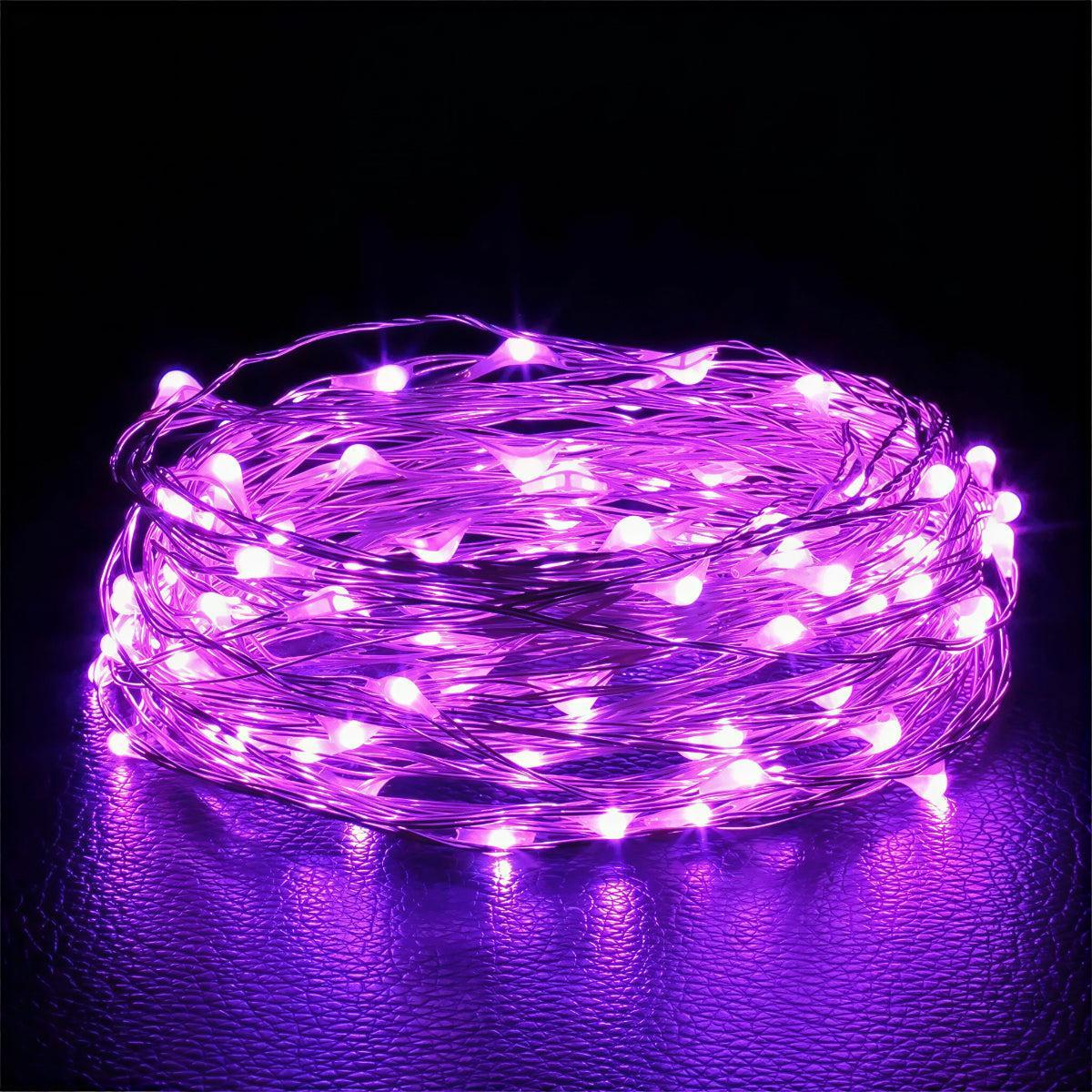 Battery Operated Fairy String Lights With Twinkling Illumination