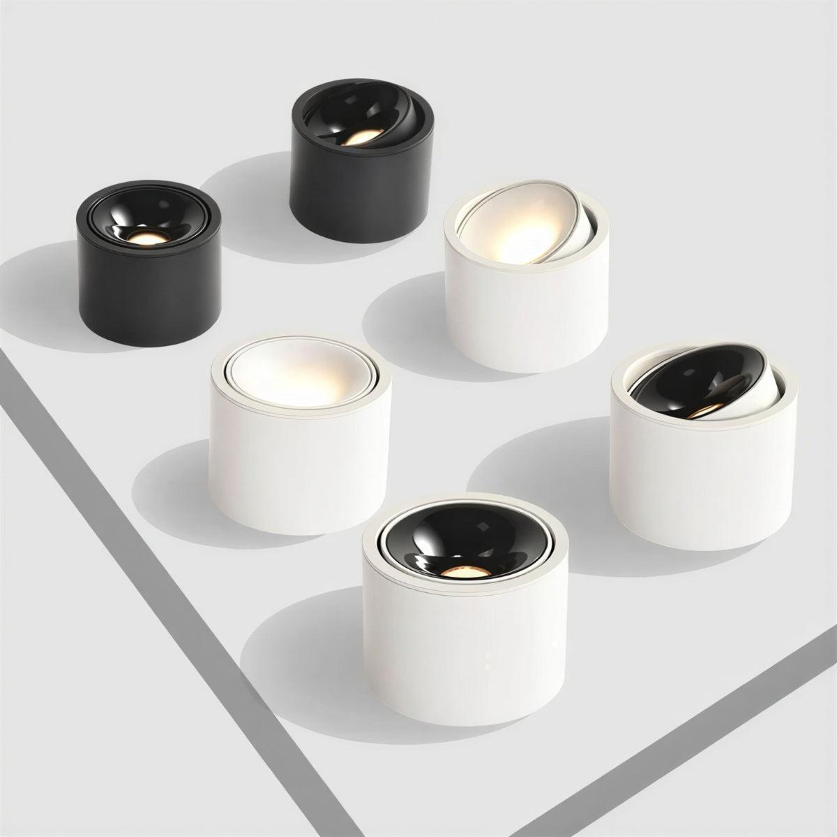 Cylindrical Adjustable Flush Mount Ceiling Light Fixture With Spotlight