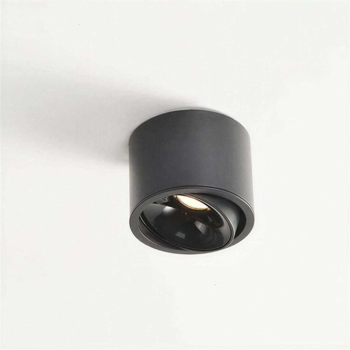 Cylindrical Adjustable Flush Mount Ceiling Light Fixture With Spotlight