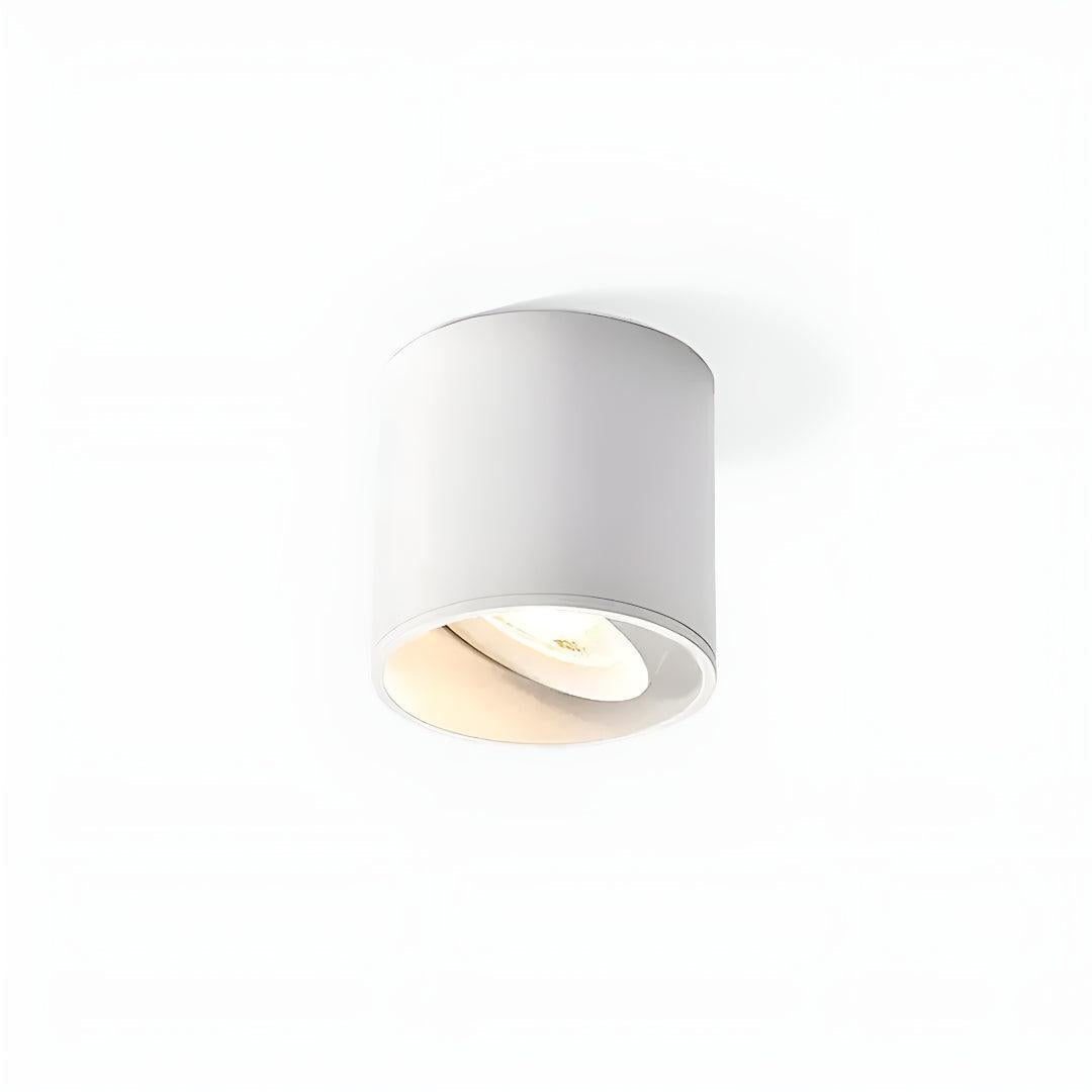 Cylindrical Recessed Ceiling Light Fixture For Spotlight Lighting