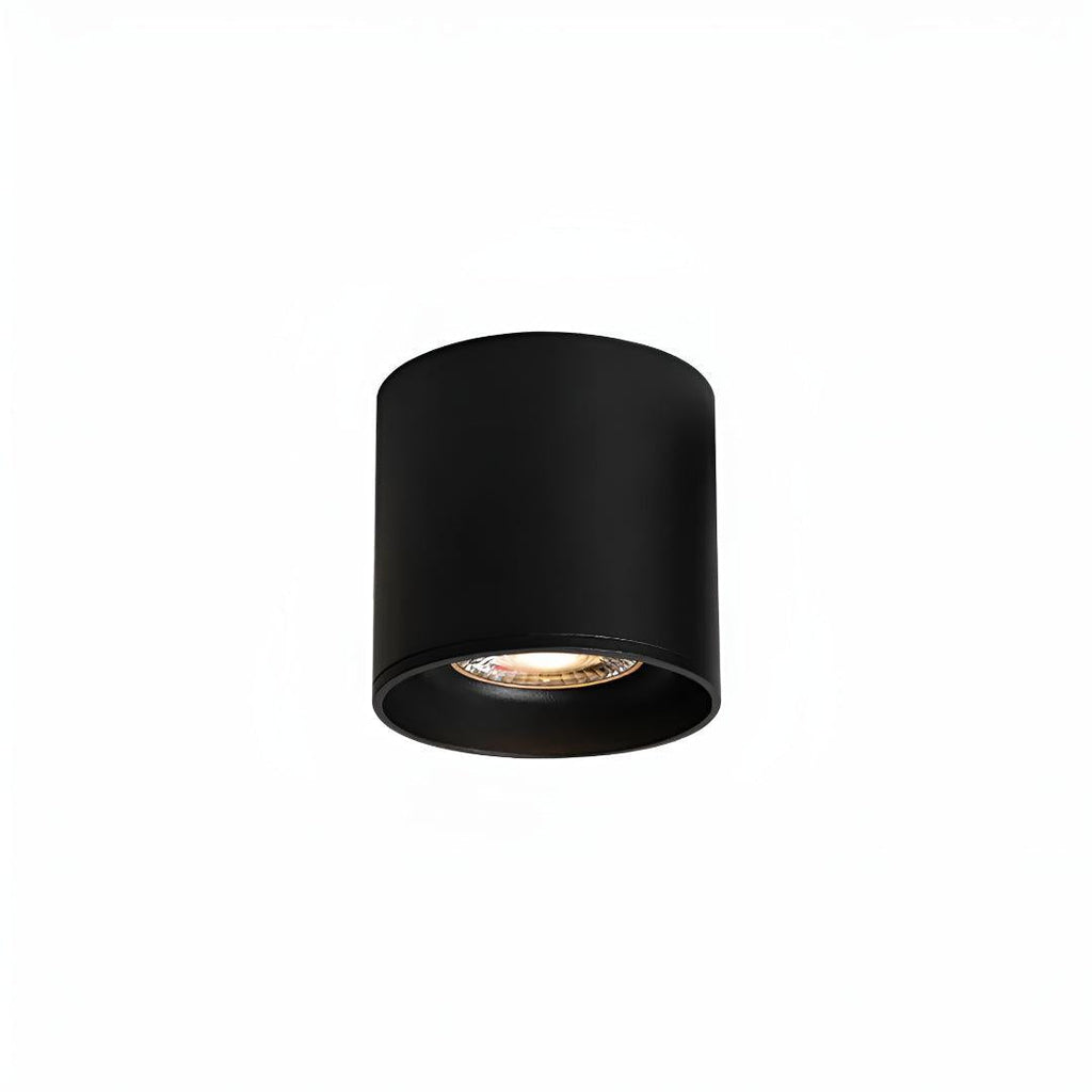 Cylindrical Recessed Ceiling Light Fixture For Spotlight Lighting