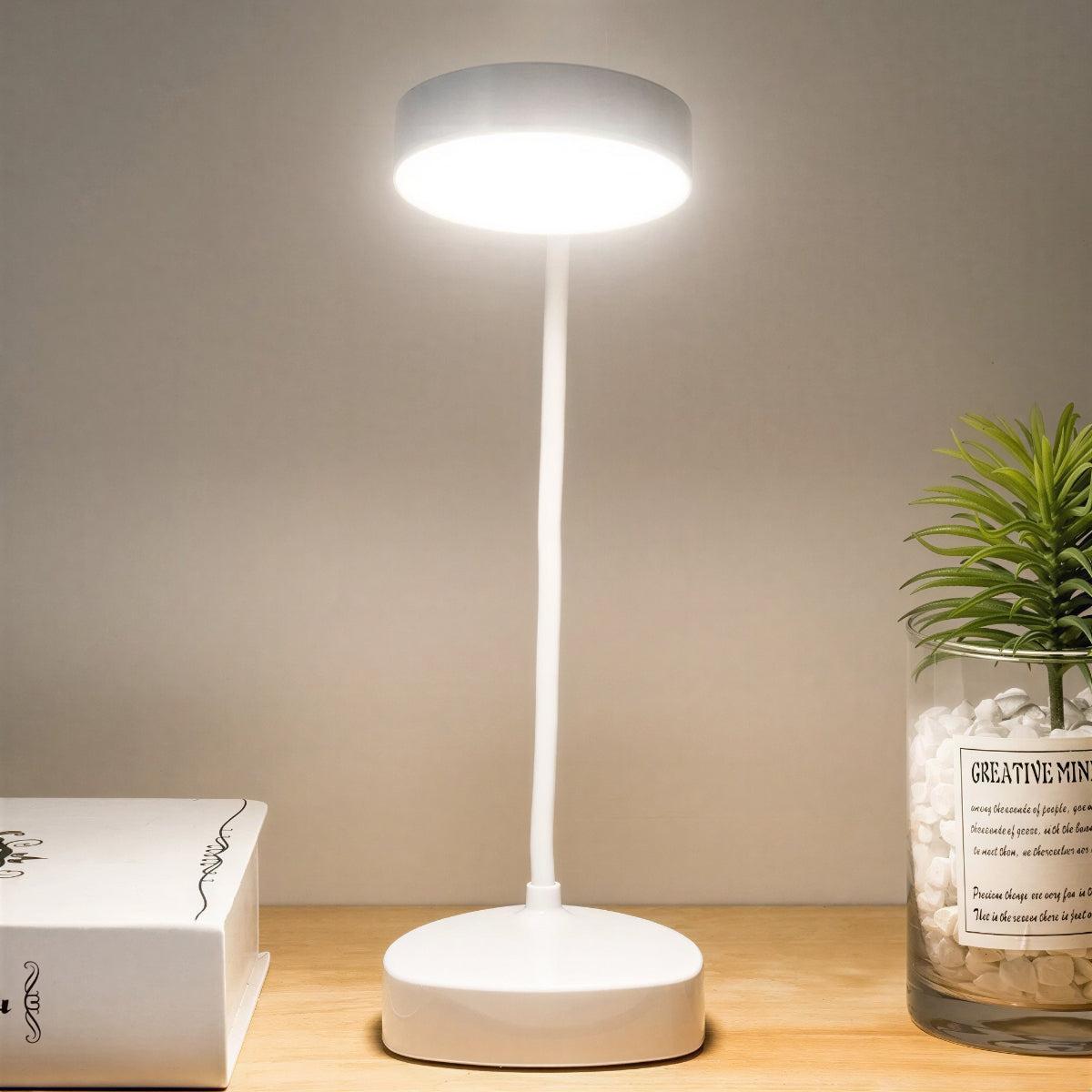 Desk Lamp For Study With Adjustable Gooseneck And Touch Control