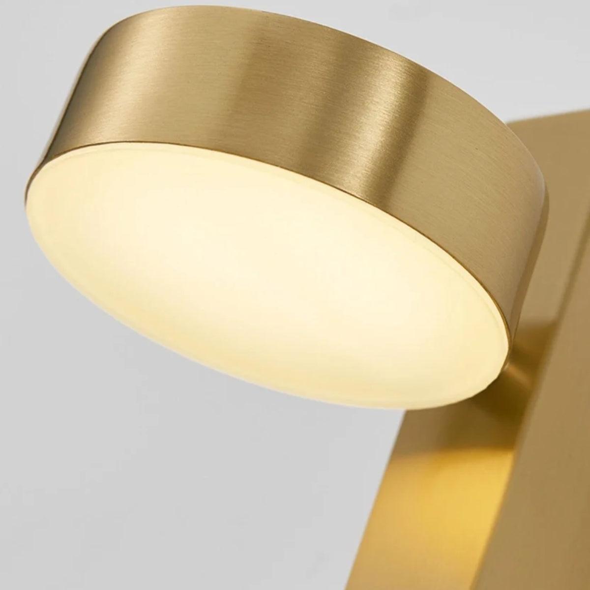 Dimmable Wall Sconce Lighting Fixture With Adjustable Head