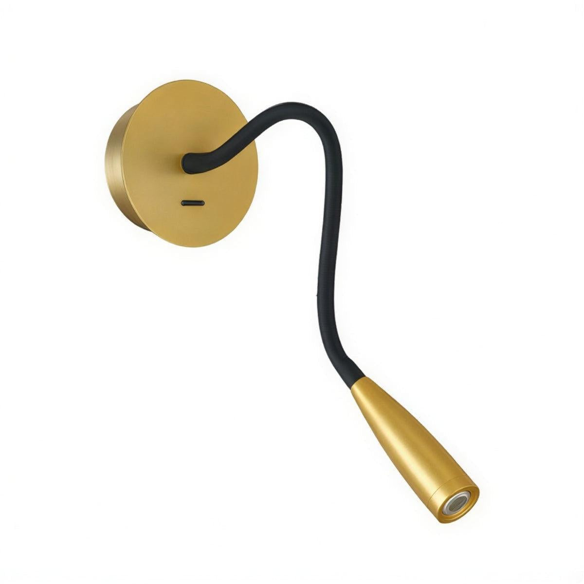 Flexible Gooseneck Wall Mounted Reading Light
