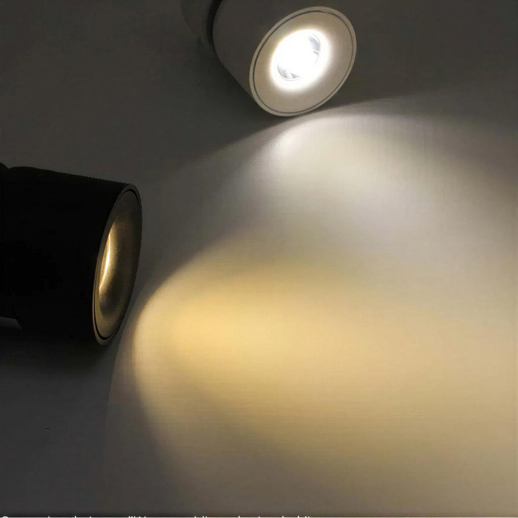 Flush Mount Ceiling Spotlight With Adjustable Directional Head