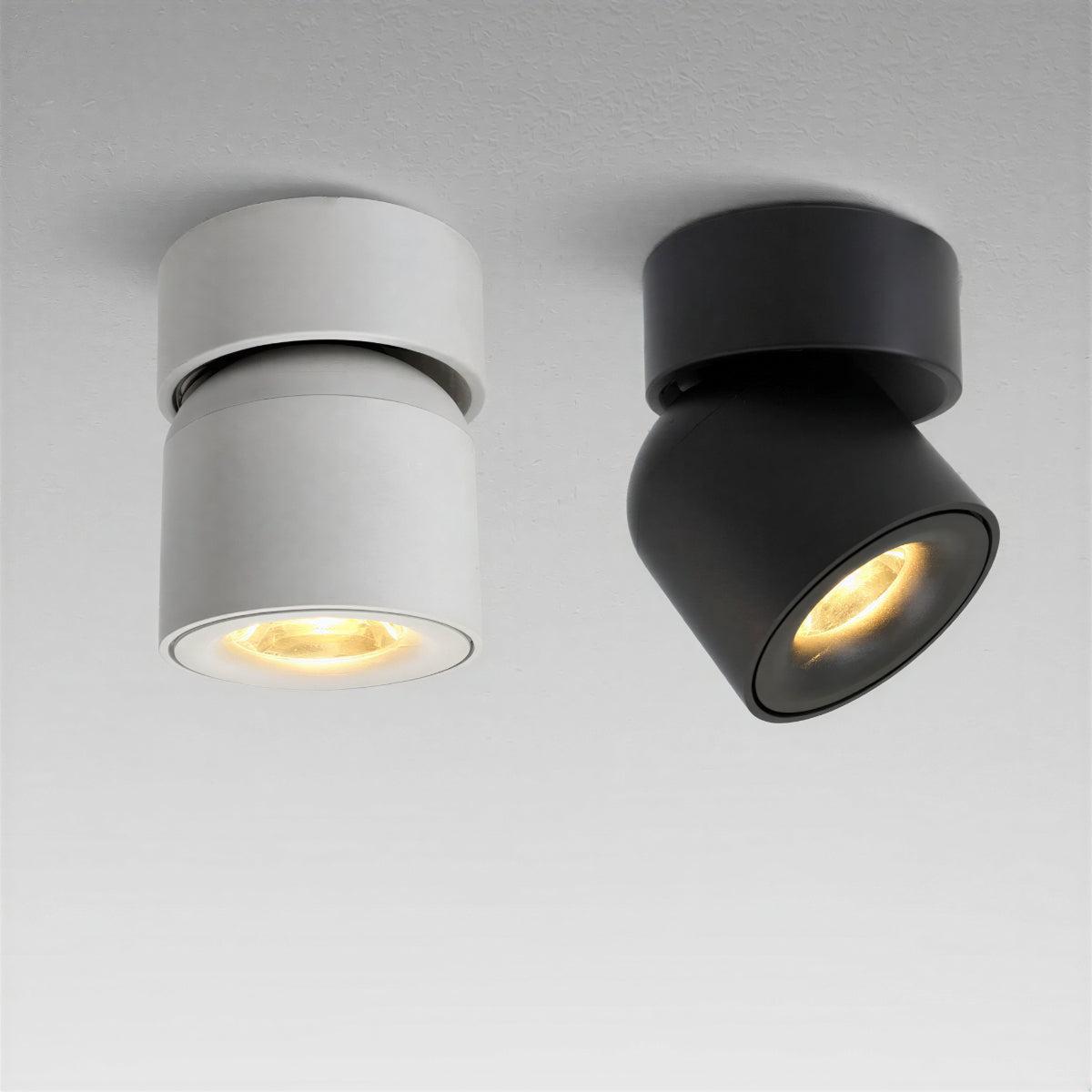 Flush Mount Ceiling Spotlight With Adjustable Directional Head