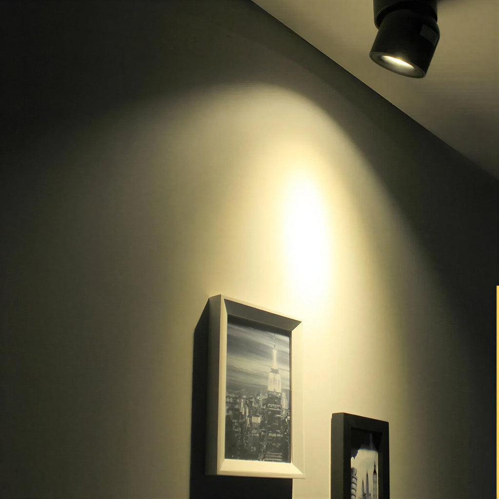 Flush Mount Ceiling Spotlight With Adjustable Directional Head