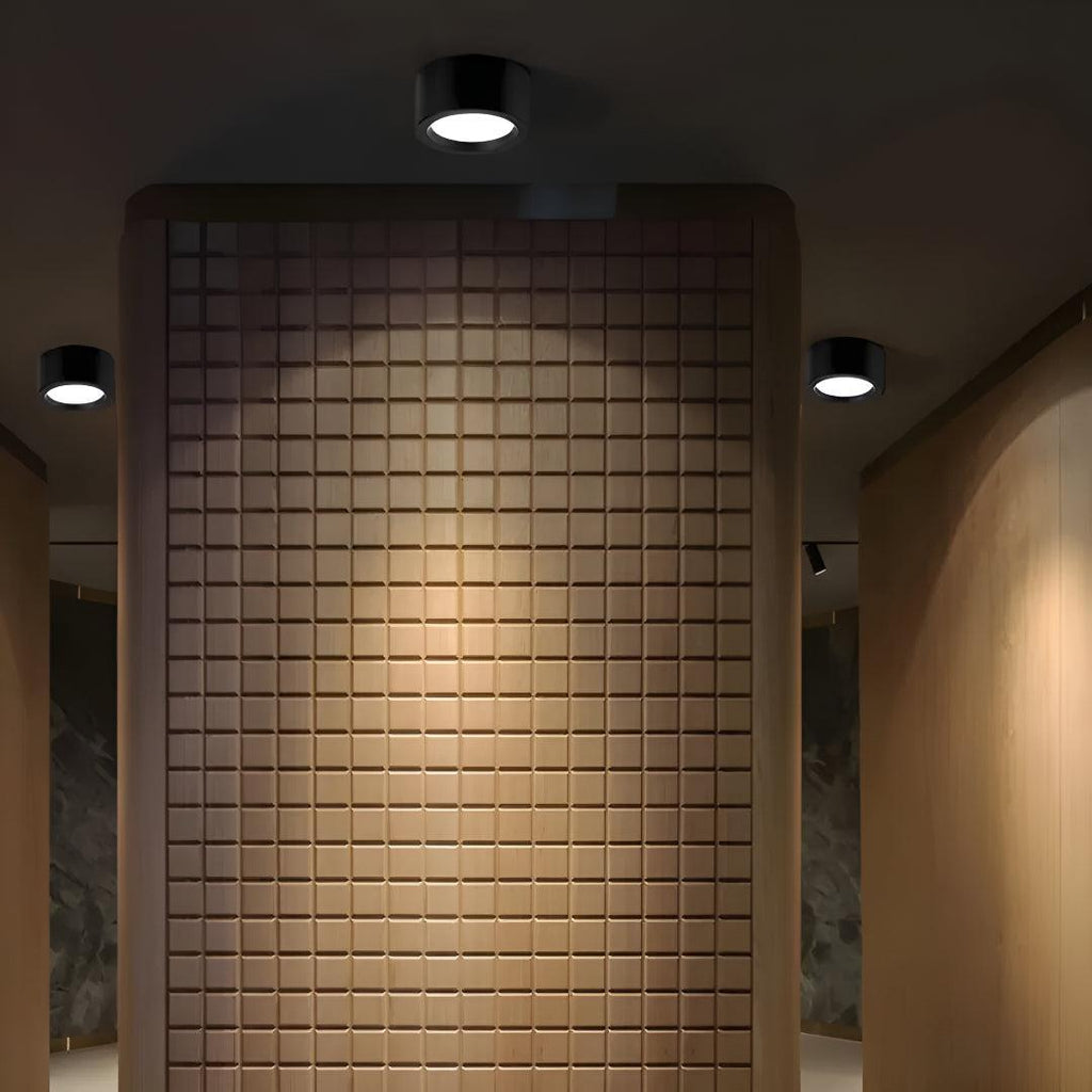 Modern Minimalist Round LED Flush Mount Ceiling Light Fixture Lamp