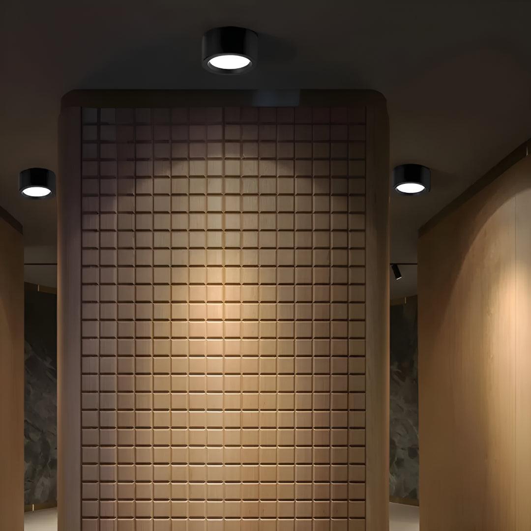 Modern Minimalist Round LED Flush Mount Ceiling Light Fixture Lamp