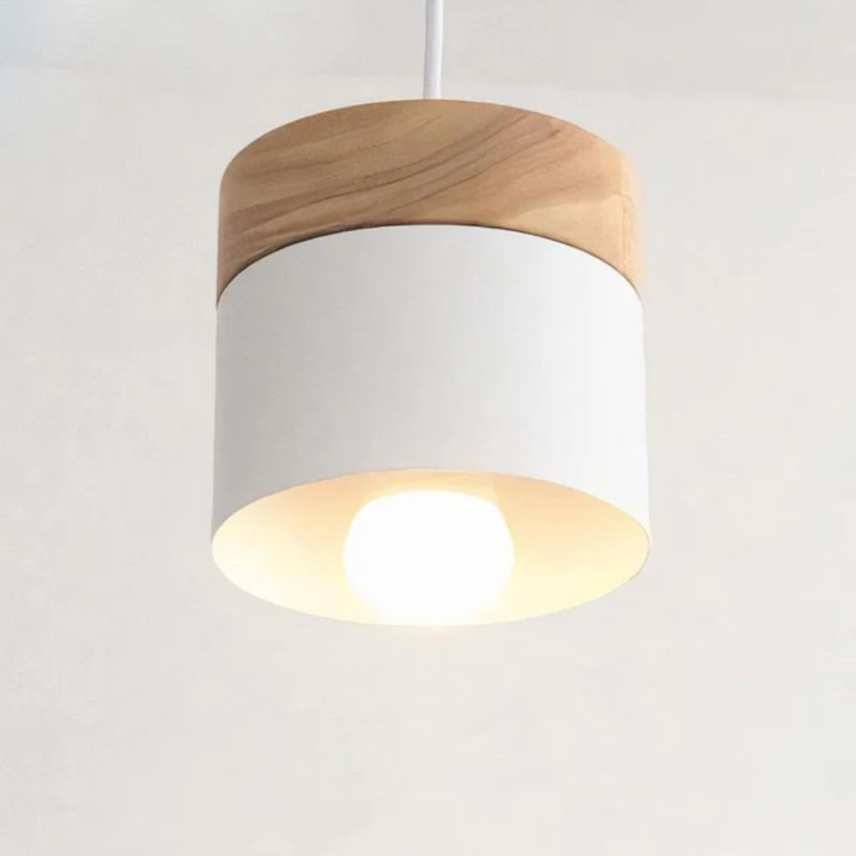 Modern Minimalistic Pendant Light With Stylish Wooden Base