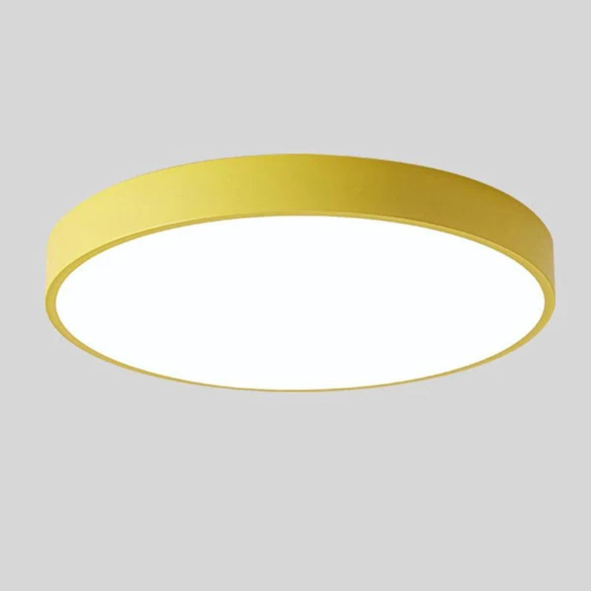 Modern Round LED Flush Mount Ceiling Light With Wood Grain Accent
