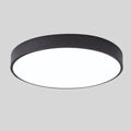 Modern Round LED Flush Mount Ceiling Light With Wood Grain Accent