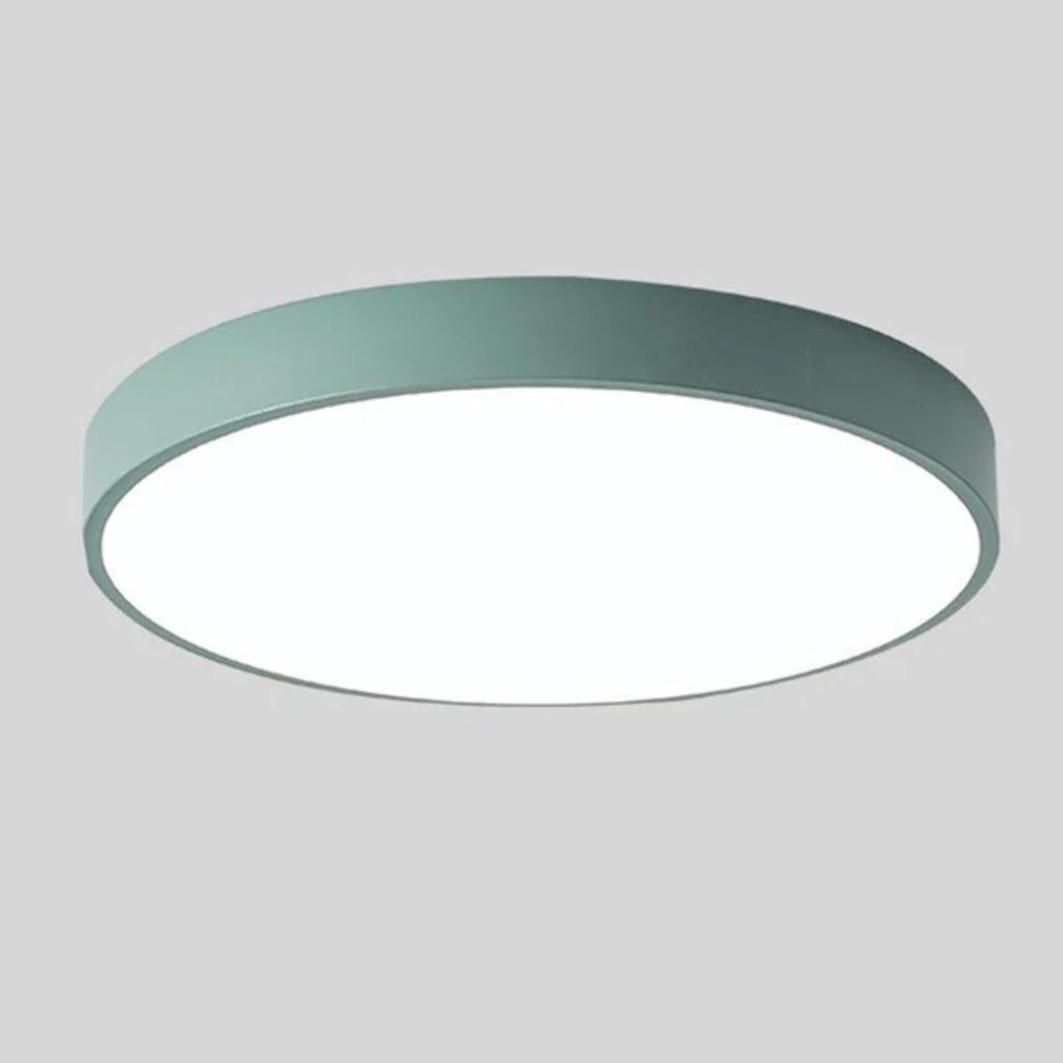 Modern Round LED Flush Mount Ceiling Light With Wood Grain Accent