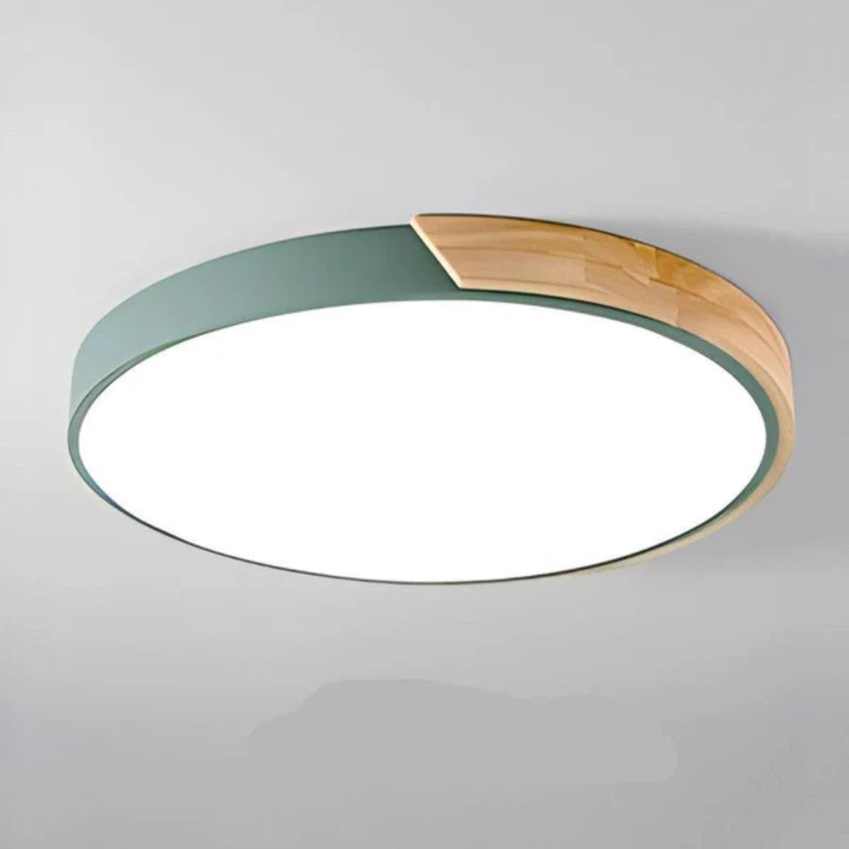 Modern Round LED Flush Mount Ceiling Light With Wood Grain Accent