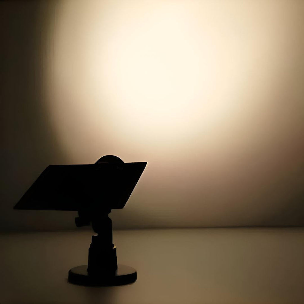 Outdoor Exterior Solar Powered Pathway Landscape Light With Stake To Put In Ground And Adjustable Illumination