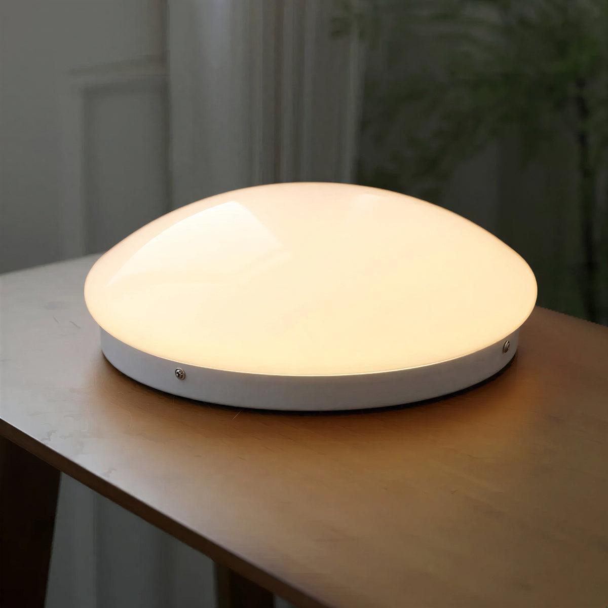 Round Flush Mount Ceiling Light Fixture With Ambient Glow