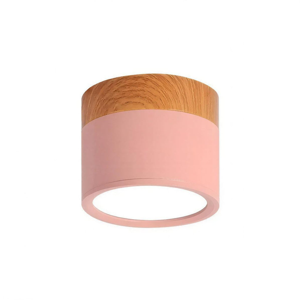 Simple Cylindrical Surface Mounted Ceiling Light Downlight Fixture
