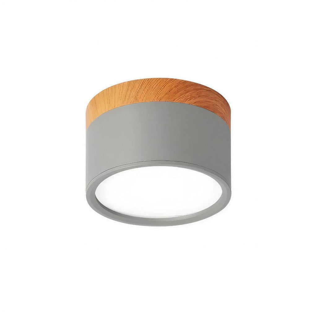 Simple Cylindrical Surface Mounted Ceiling Light Downlight Fixture