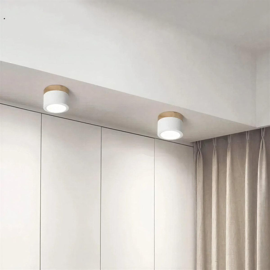 Simple Cylindrical Surface Mounted Ceiling Light Downlight Fixture