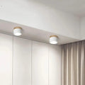 Simple Cylindrical Surface Mounted Ceiling Light Downlight Fixture