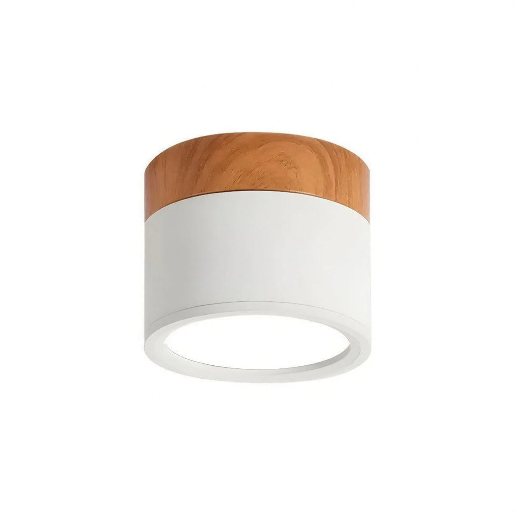Simple Cylindrical Surface Mounted Ceiling Light Downlight Fixture