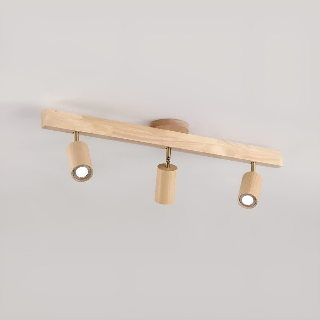 Track Lighting Fixture With Independent Adjustable Directional Spotlights