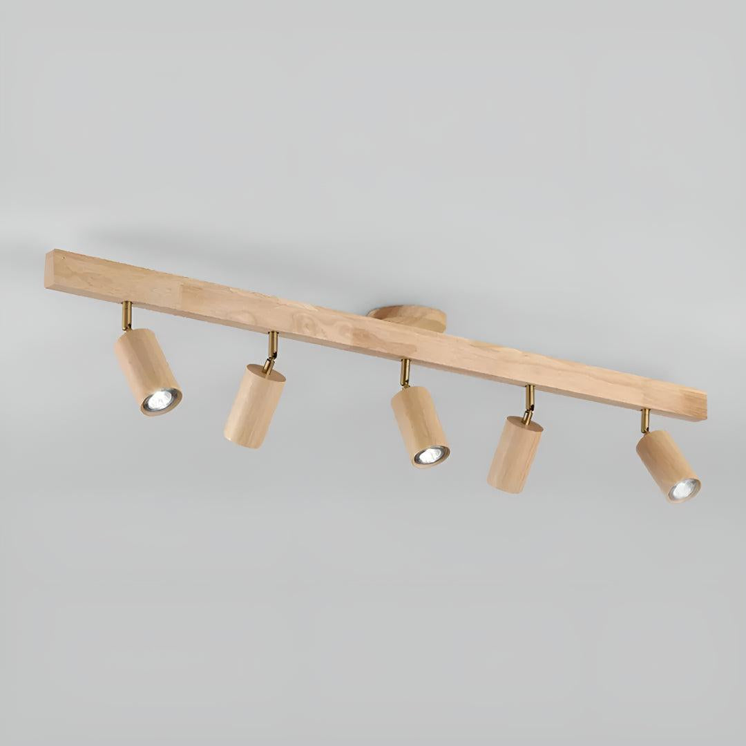 Track Lighting Fixture With Independent Adjustable Directional Spotlights