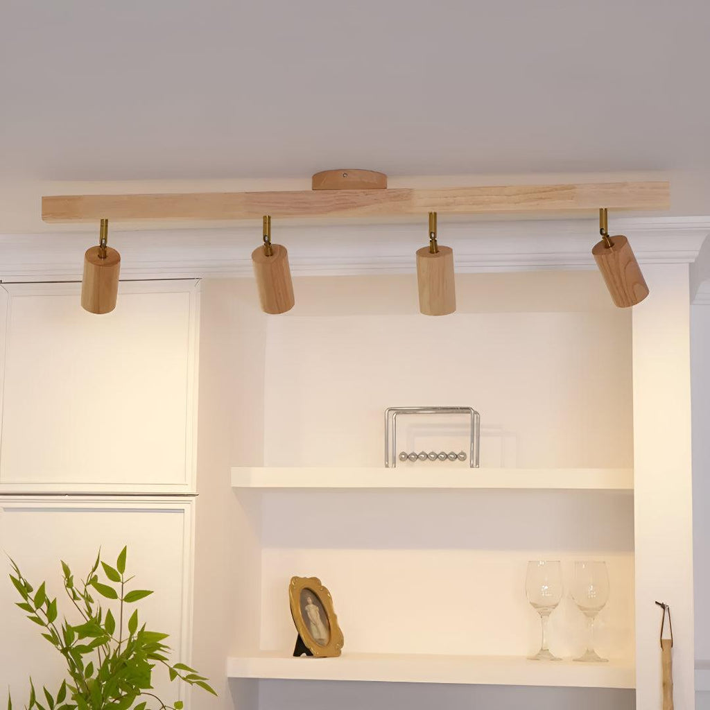 Track Lighting Fixture With Independent Adjustable Directional Spotlights
