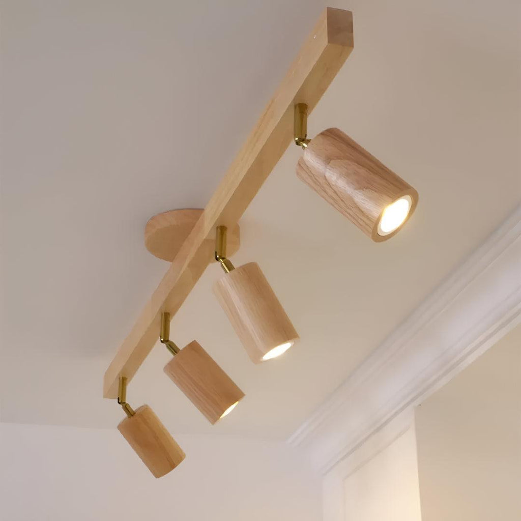 Track Lighting Fixture With Independent Adjustable Directional Spotlights