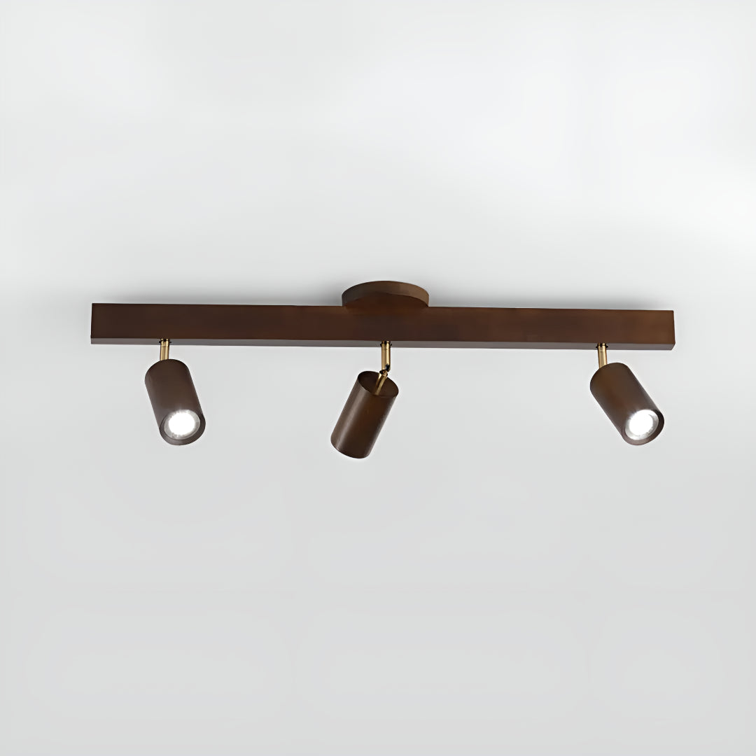Track Lighting Fixture With Independent Adjustable Directional Spotlights