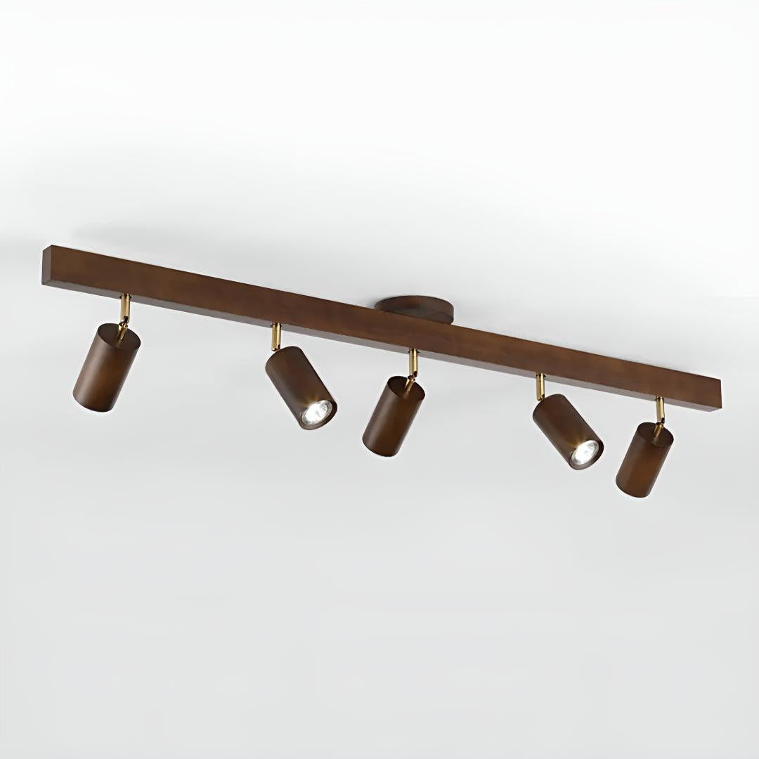 Track Lighting Fixture With Independent Adjustable Directional Spotlights