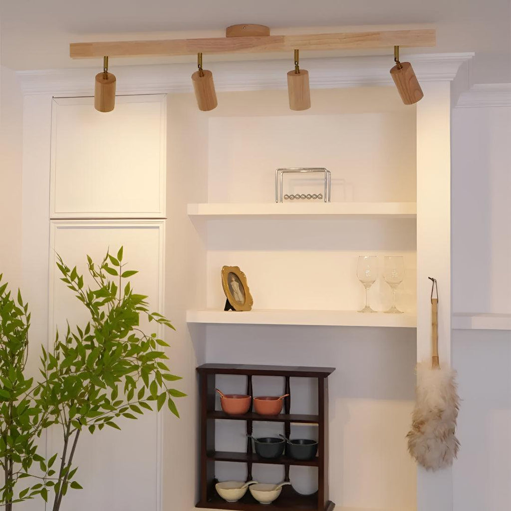 Track Lighting Fixture With Independent Adjustable Directional Spotlights