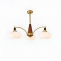 Vintage Mid Century Dining Room Chandelier With Retro Glass Shades
